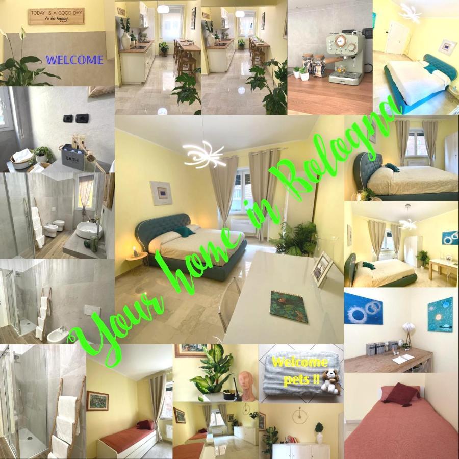 Made In Bologna Apartment Ngoại thất bức ảnh